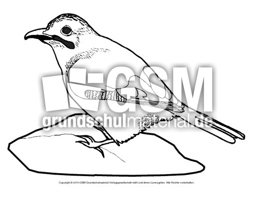 Ausmalbild-Eichelhäher.pdf